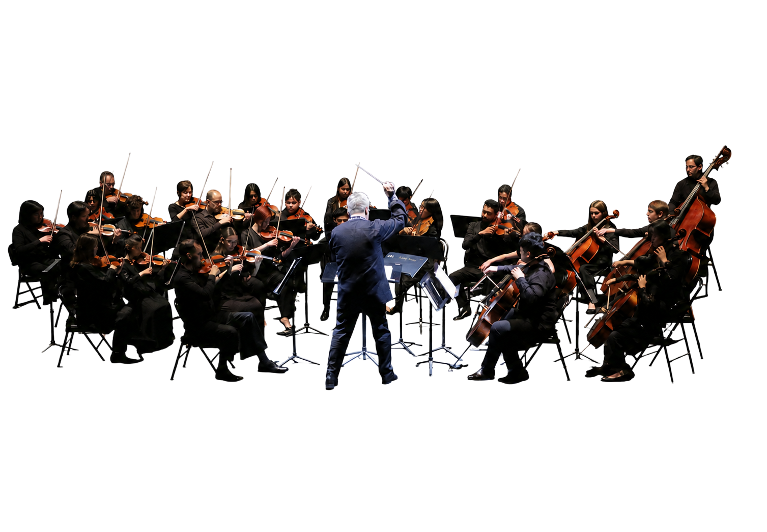 Orchestra performing on stage